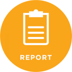 REPORT REPORT